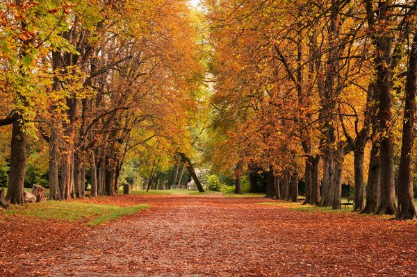 Quelle est la meilleure façon de choisir des talons confortables pour une cérémonie en extérieur?